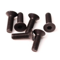 Flat Head Screws M3x10mm (6pcs)