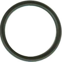 OUTER O RING FOR CARB
