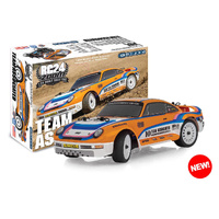 RC24 ZOOM Rally RTR