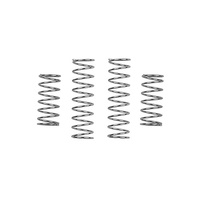 Model 24 Shock Spring Set, Medium, Silver
