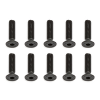 Screws, M4x16 mm FHCS