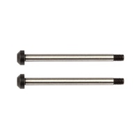 RC10B74 Rear Hub Hinge Pins