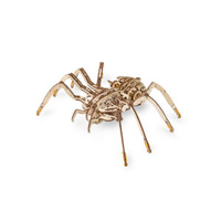 Mechanical Spider on rubber-band engine with moving legs