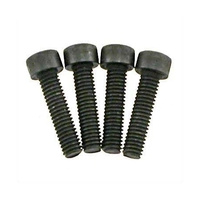 Head Cap Screws, M14x3.5, 4 pcs