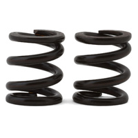 REACTOR slipper spring