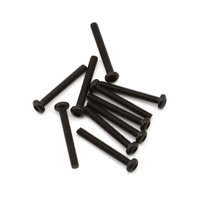 BHCS M2.5 x 20