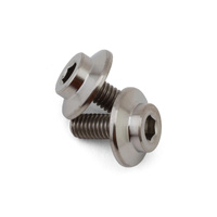 ProTek RC GR5 Titanium Motor Screw (2) (3x7mm)