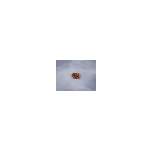 Deadeye, 2.5mm Walnut (10)