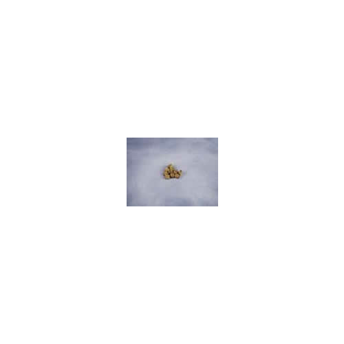 Single Block, 2mm Walnut (10)