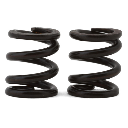 REACTOR slipper spring