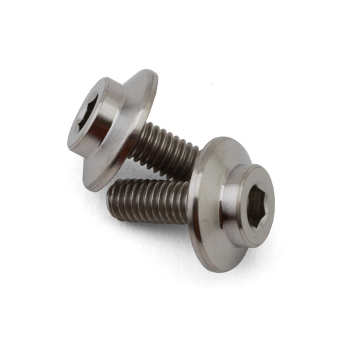 ProTek RC GR5 Titanium Motor Screw (2) (3x8mm)