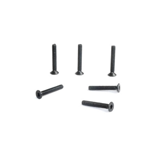 FHHS M3x20 (FTX-6540)
