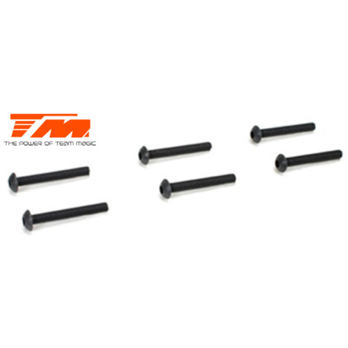 3.5x25mm Steel BH Screw (6)