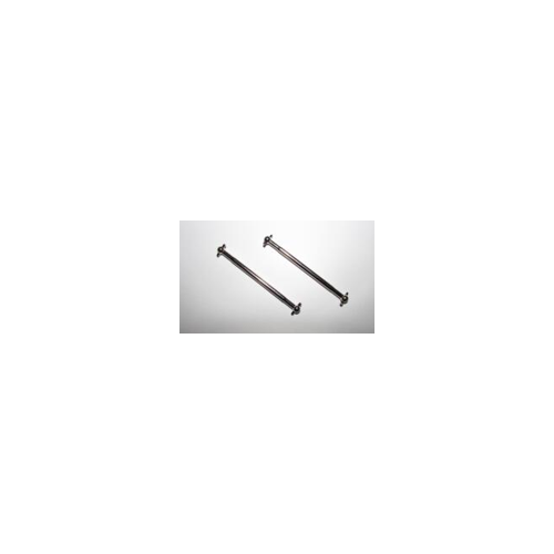 dog bone